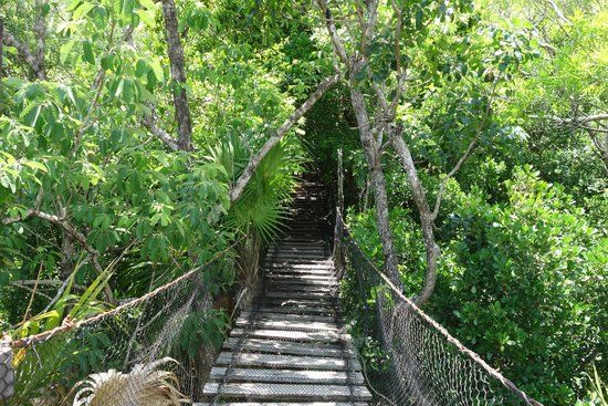 Faro de Puerto Morelos